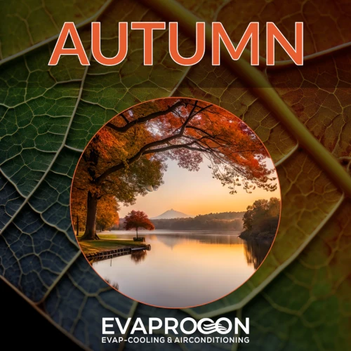 Autumn Maintenance