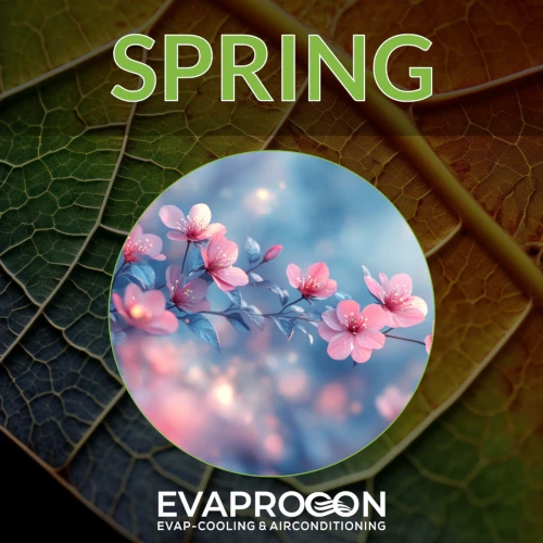 Spring Maintenance